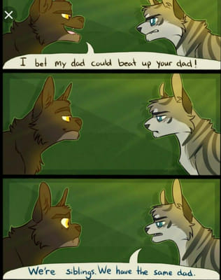 Jayfeather and Leafpool