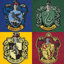 Are you a Slytherin (accurate) - Quiz | Quotev