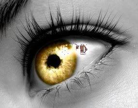 beautiful golden eyes