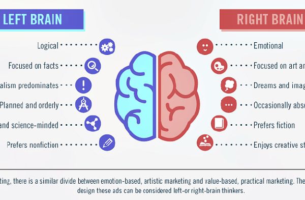 Which side of your brain do you use more? - Quiz | Quotev