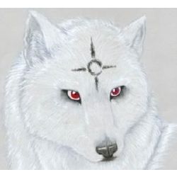 Never Challenge the Alpha Wolf! by basssman7 - DPChallenge