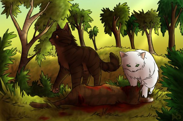 Your Warrior Cat Life Quiz Quotev