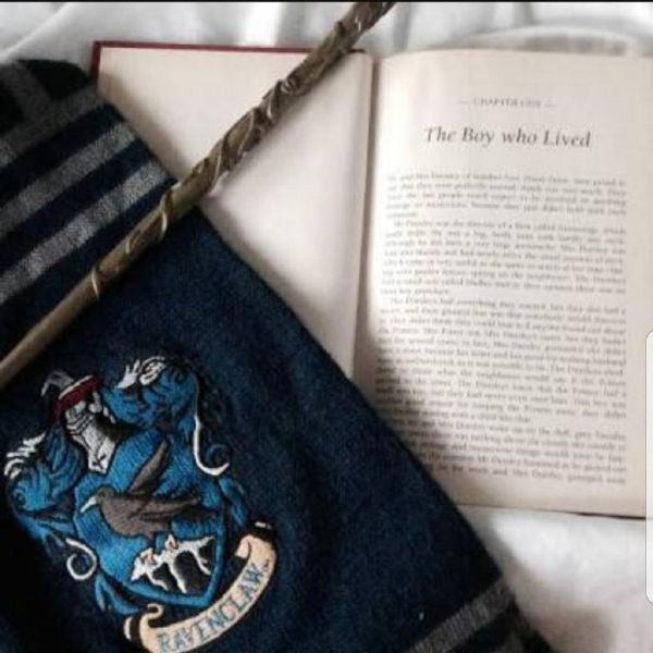 What is your Hogwarts House? Quiz Quotev