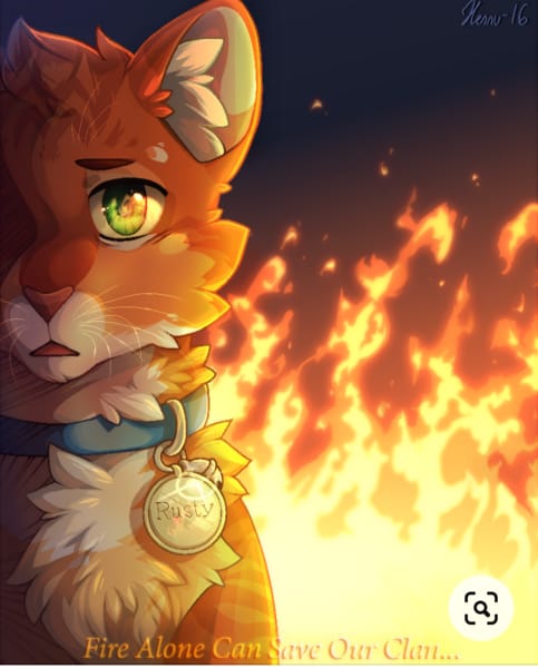 Firestar, From Thunder Clan