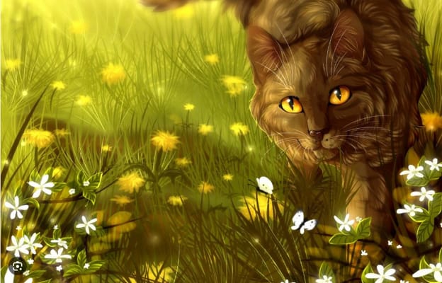 Warrior cats remake! - Quiz | Quotev