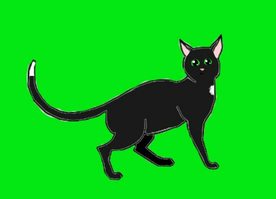 Ravenpaw, Warrior cats Wiki