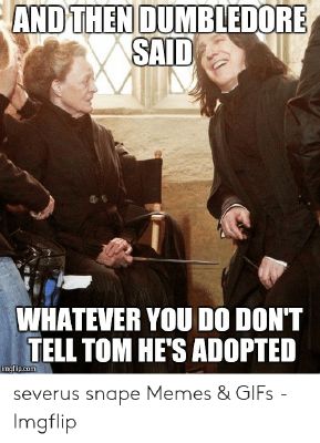 harry potter draco Memes & GIFs - Imgflip