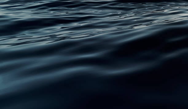 What phobia do you have! (T/W) photos at the start may contain triggers ...