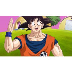 Mr Goku on X: #Perfil Mr Goku  / X