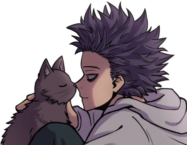 Write a Letter too Hitoshi Shinsou - Quiz | Quotev