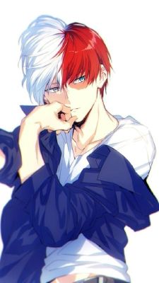 Does Todoroki care for you - Quiz | Quotev