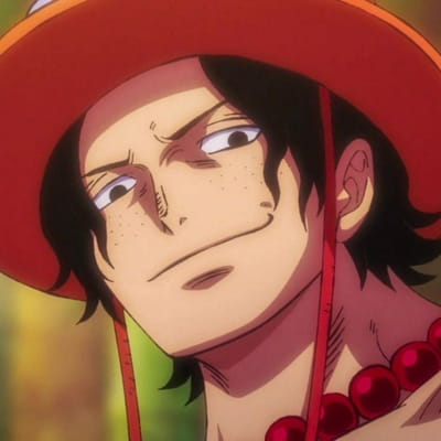 One Piece X Male Reader