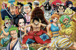 One Piece Girls Quizzes