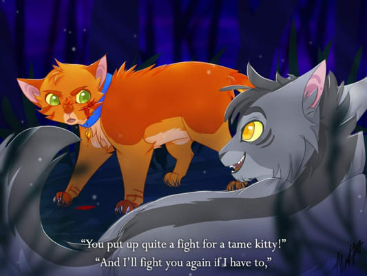 Warrior Cat Quiz Test Quotev