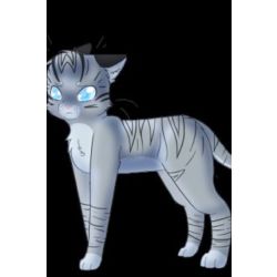 Jayfeather Bio (warrior cats)