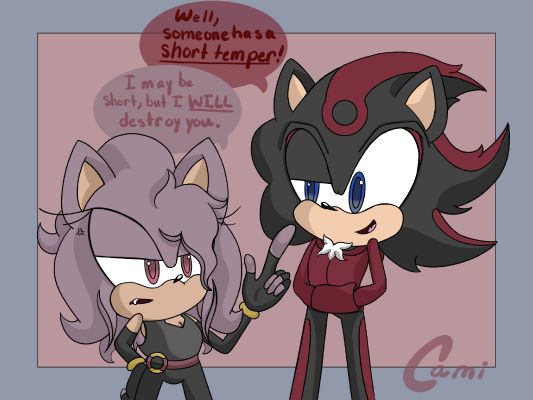 Fanart, Shadow the Hedgehog Protecc Squad!