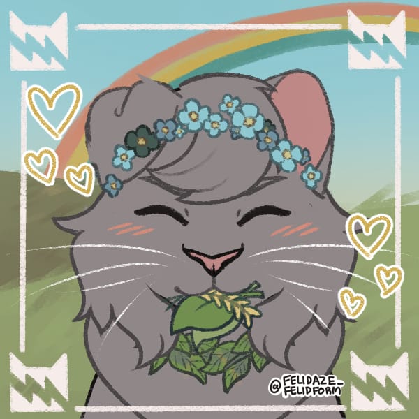 Did you know warrior cats Poll Quotev