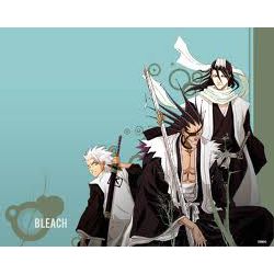 What Captain Is Your Bf/Gf (Bleach)? - ProProfs Quiz