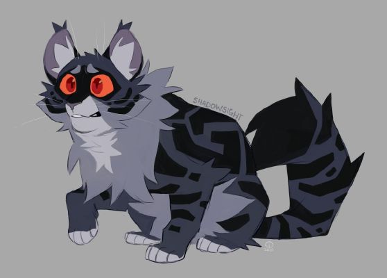 Shadowsight  Warrior cats art, Warrior cats, Warrior cat