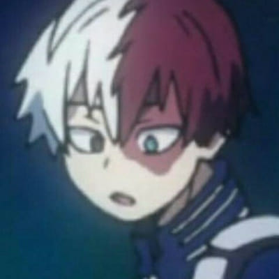 Plan A Birthday Party for Todoroki :D - Quiz | Quotev