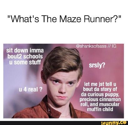 Who Does Newt See You As? (Maze Runner) - Quiz | Quotev