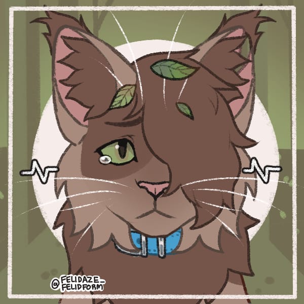 Warrior cat Clan and info(long results) Quiz