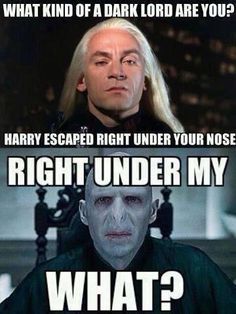 Harry Potter - memes (Discontinued) - #Meme 13: What is Voldemort after???  - Wattpad