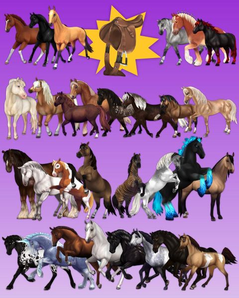 star-stable-what-horse-breed-should-you-get-quiz-quotev