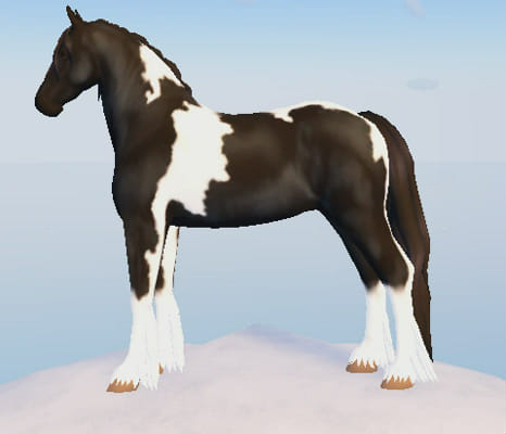 Wild horse islands quiz -SUPER EASY - Test | Quotev