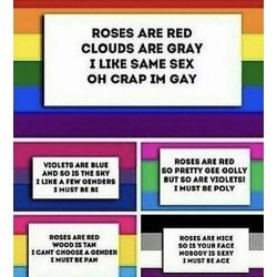 Um quiz LGBT aleatório