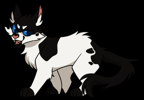 Cat x reader. Draikinator Ashfur. Draikinator Darktail. Draikinator Scourge. Darktail Warriors Cats Desing.