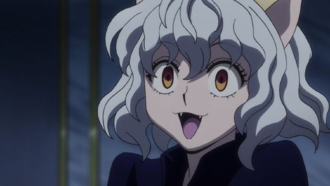 Neferpitou, Hunterpedia