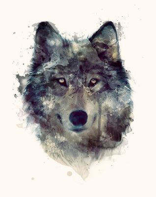 You As A Wolf - Quiz | Quotev