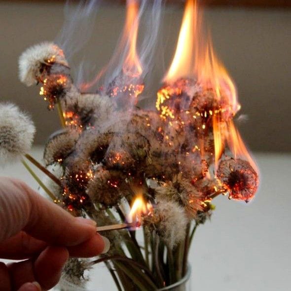 what is your anger style? Quiz Quotev