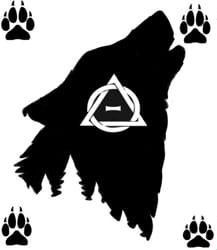 Therian Community Quiz Test Quotev