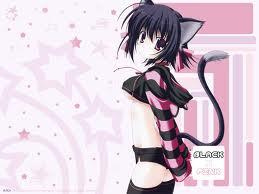 Anime Cat of the Day   Todays anime cat person of the day is Rem  Galleu