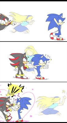 Sonadow/Sonic x Shadow, Shipping Book (No More Authors!)