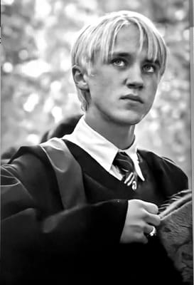 How Well Do You Know Draco Quiz Quotev