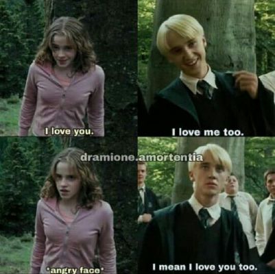 Voldemort and Hermione, Harry Potter Memes