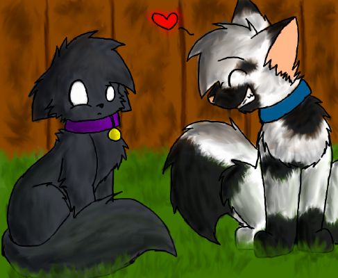 Bluestar x Scourge, Ridiculous Warrior Cat Couples