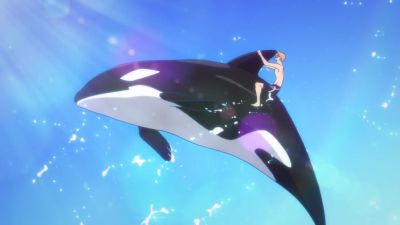 Killer Whale High Fidelity Anime Cute Plushie Orcinus Orca Plush Toys  Lifelike Animals Simulation Stuffed Doll Kawai Toy Gifts - AliExpress