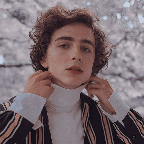 Pick Some Things And Get A Picture Of Timothée Chalamet - Quiz | Quotev