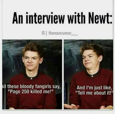 Maze Runner memes. - Survey | Quotev