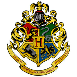 Whats your Hogwarts house? - Quiz | Quotev