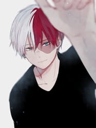 Go on a date with Shoto Todoroki! - Quiz | Quotev