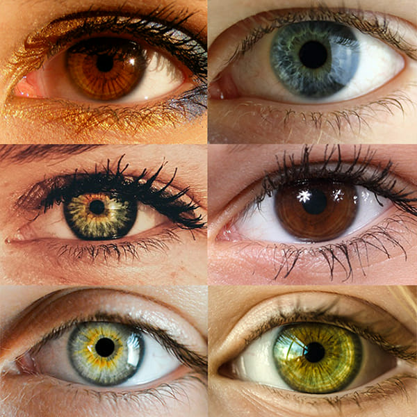 Can I guess your eye color? Quiz Quotev