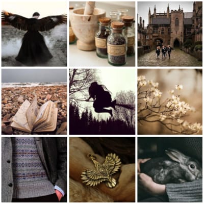 What is Your Ilvermorny House? - Quiz | Quotev